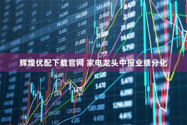 辉煌优配下载官网 家电龙头中报业绩分化