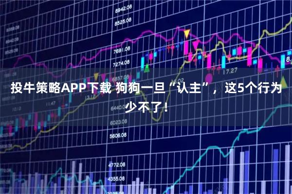 投牛策略APP下载 狗狗一旦“认主”，这5个行为少不了！