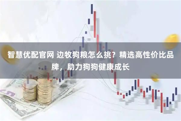 智慧优配官网 边牧狗粮怎么挑？精选高性价比品牌，助力狗狗健康成长