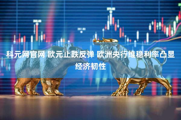 科元网官网 欧元止跌反弹 欧洲央行维稳利率凸显经济韧性