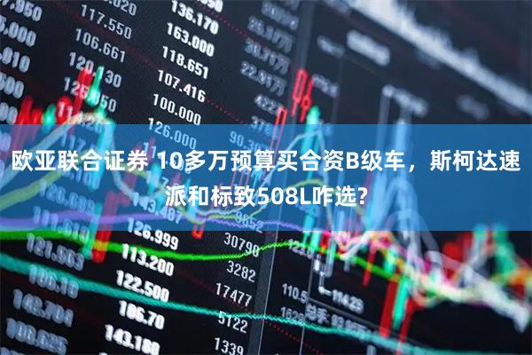 欧亚联合证券 10多万预算买合资B级车，斯柯达速派和标致508L咋选?