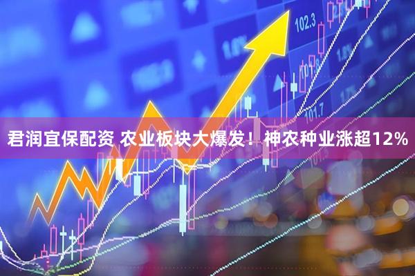 君润宜保配资 农业板块大爆发！神农种业涨超12%