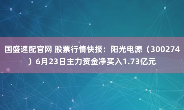 国盛速配官网 股票行情快报：阳光电源（300274）6月23日主力资金净买入1.73亿元
