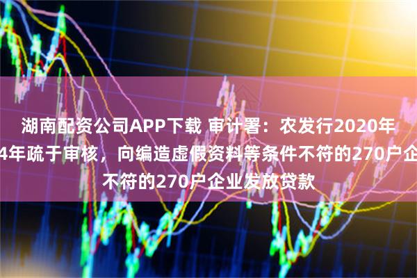 湖南配资公司APP下载 审计署：农发行2020年11月至2024年疏于审核，向编造虚假资料等条件不符的270户企业发放贷款