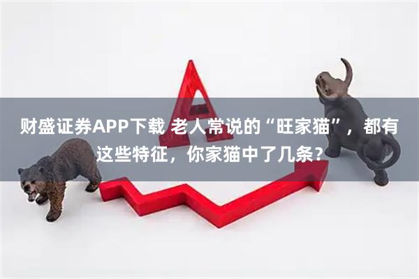 财盛证券APP下载 老人常说的“旺家猫”，都有这些特征，你家猫中了几条？